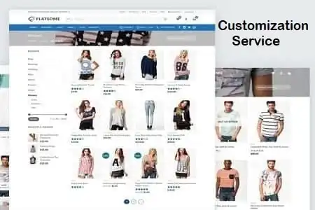 Customization Service – Flatsome Theme Customization Service