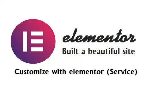 Customization Service with Elementor